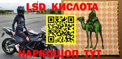 шишки Апшеронск