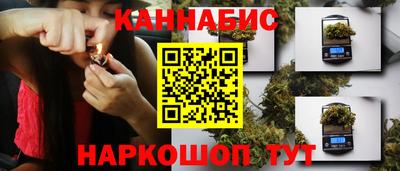 Альфа ПВП Аргун