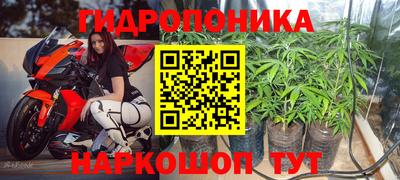 Альфа ПВП Аргун