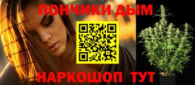 шишки Апшеронск