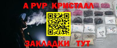 шишки Апшеронск