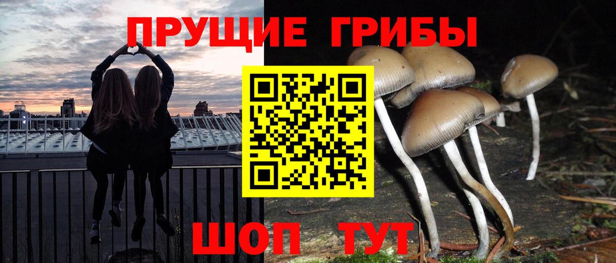 Галлюциногенные грибы Cubensis Владивосток